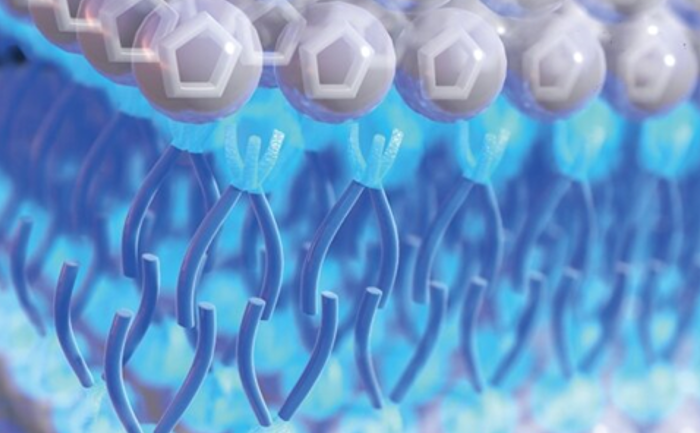 離子液體.png 離子液體.png